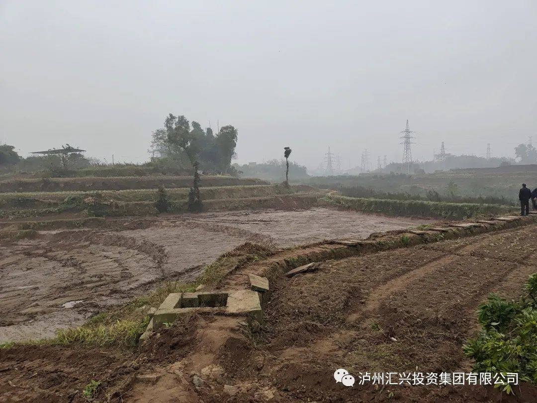 14b5668f9d61b17b462a7fd562f21235 4.jpg