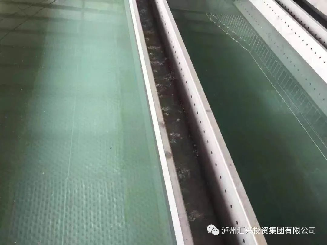 cb448ffa3fa0817186e38f37fa63a66a 5.jpg